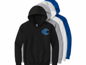 Youth Gildan Heavy Sweatshirt